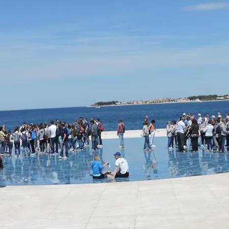 Martina Zadar